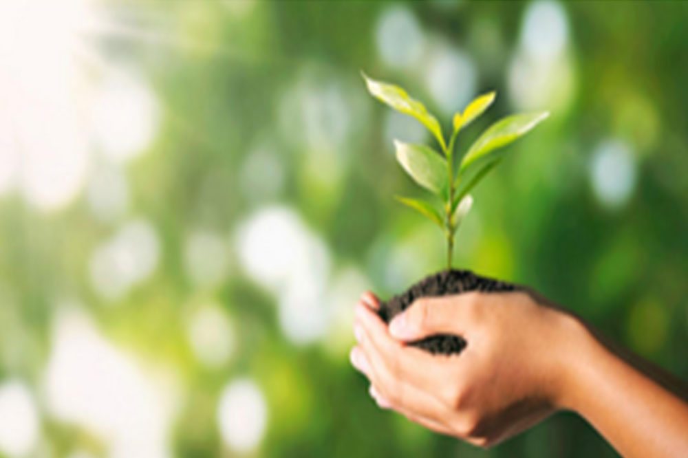 Environmental Management System Certification